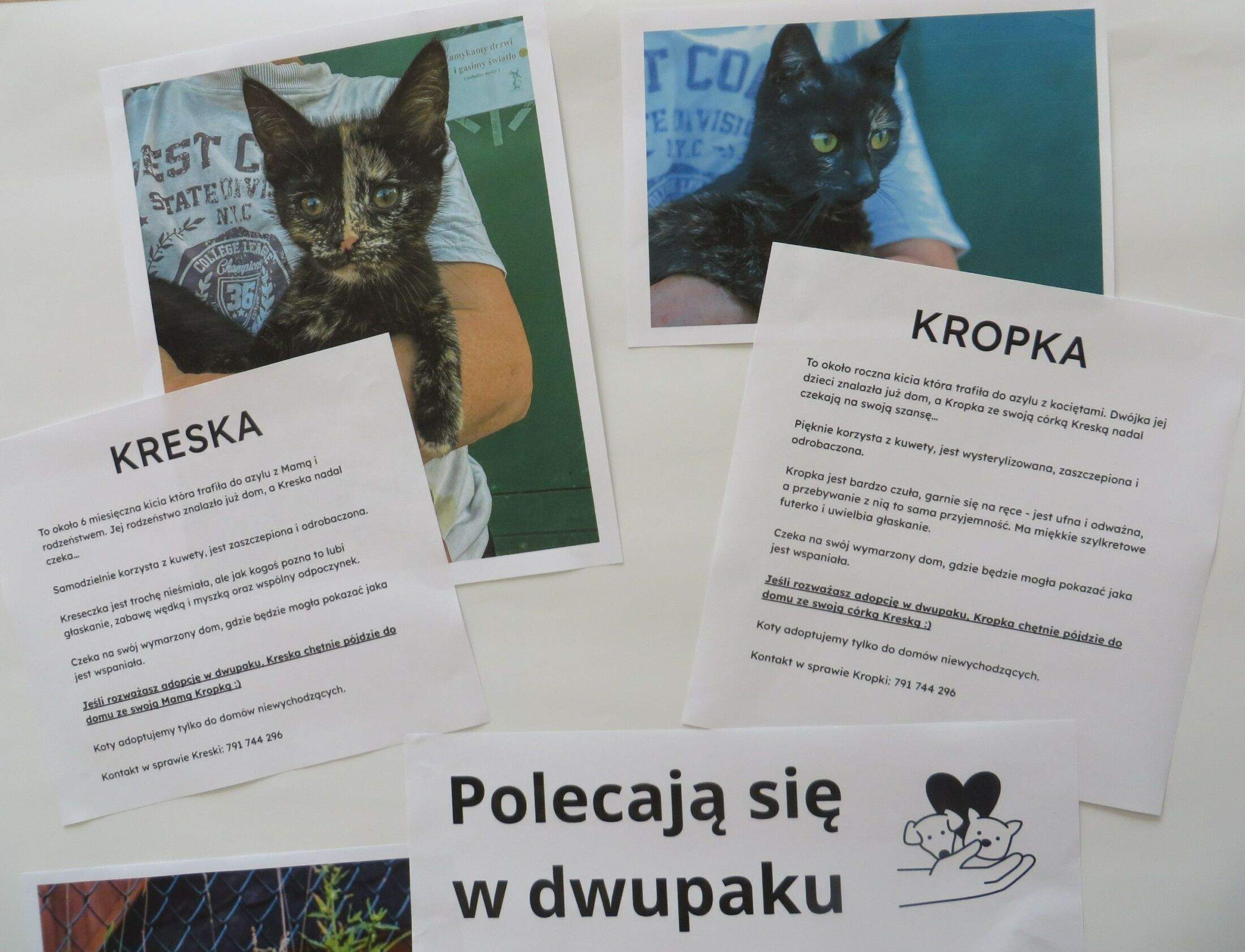 Kreska i Kropka Kreska i Kropka